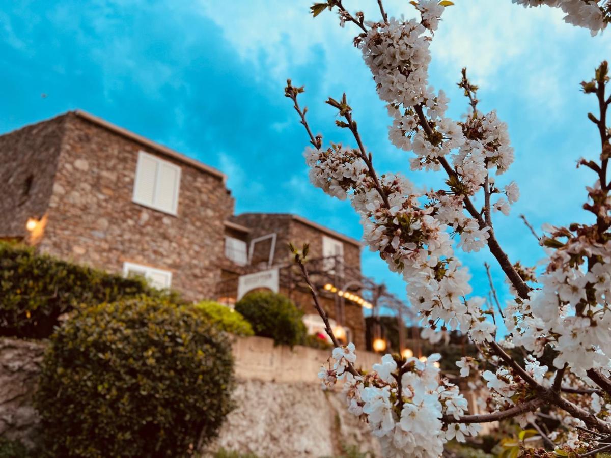 Bed and Breakfast Casa Di Babbo Macinaggio  Exterior foto